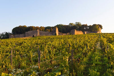 CHÂTEAU D'ARLAY VIN JAUNE 2016 CÔTES DU JURA 620mℓ