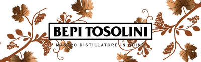 BEPI TOSOLINI LIQUORE ALLE FRAGOLINE DI BOSCO 700mℓ