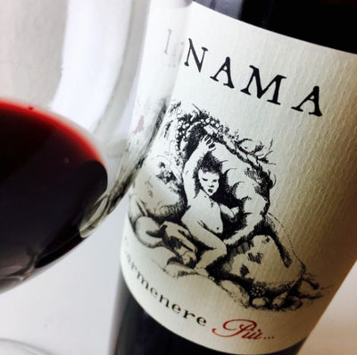 INAMA CARMENERE PIU' VENETO ROSSO IGT 750mℓ