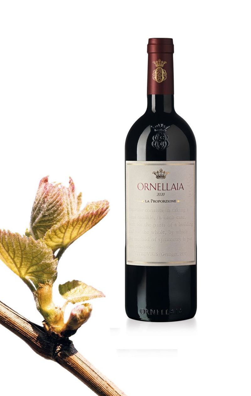 ORNELLAIA BOLGHERI SUPERIORE DOC 2020 VENDEMMIA D&