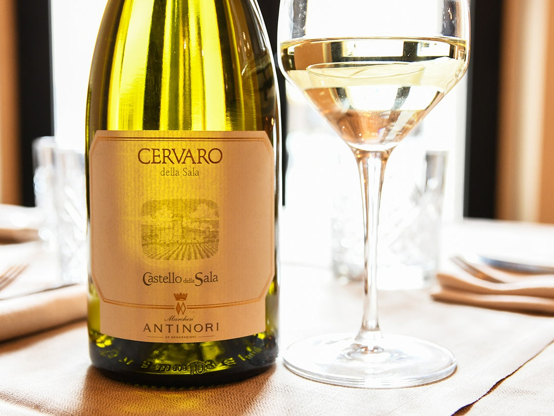 MARCHESI ANTINORI CERVARO DELLA SALA 2024 UMBRIA IGT 750mℓ